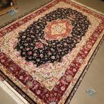 Six Meter Tabriz Carpet Handmade Neshat Design