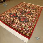 Zar_O_Nim Carpet Bakhtiari Handmade Sheyda Frame Design