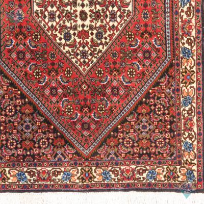 zar_o_charak Bijar Carpet Handmade Mahi Design