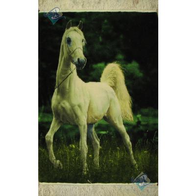 Tabriz Tableau Carpet Standing Horse