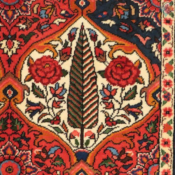 ذرع و نیم دستباف بختیاری طرح قاب سرو کاج پشم اعلارنگ گیاهی - Image 8